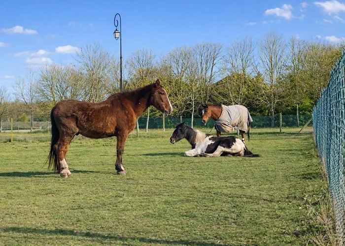 Charmante Maison De Holiday home *